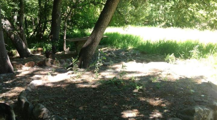 Little Willow Brooke