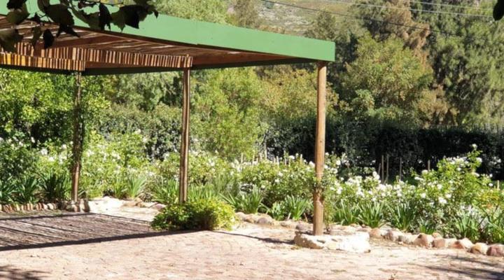 Little Willow Brooke