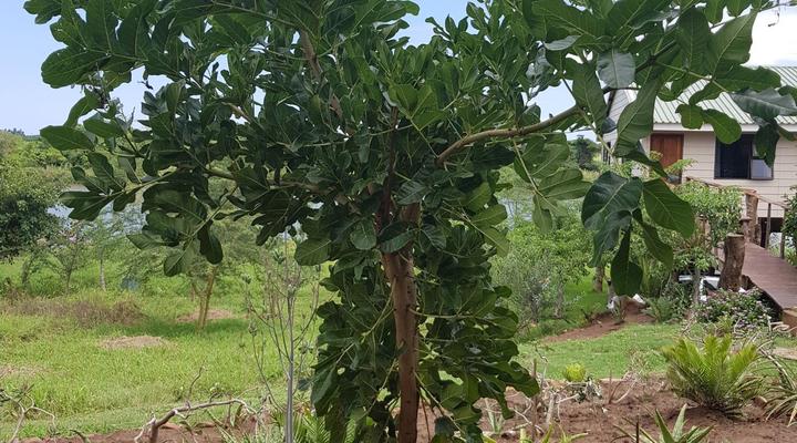 Komatipoort River House