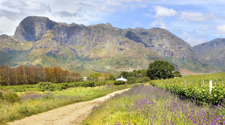 Boschendal Farm Estate 