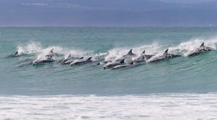 Beach bum Self-Catering Unit