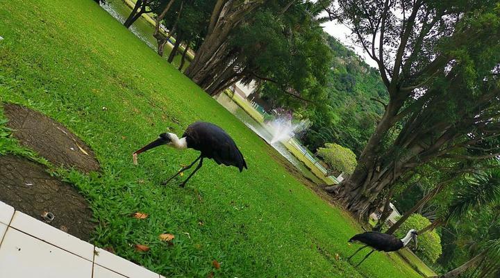 Eden Wilds AKA The Duck's House unit47&48&31