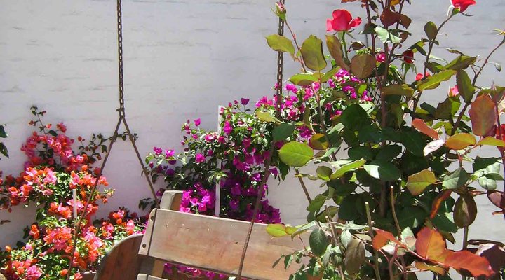 The Alternative Space