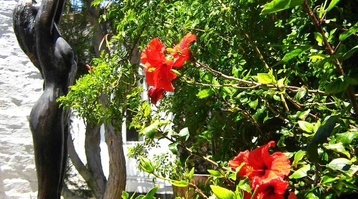 The Alternative Space