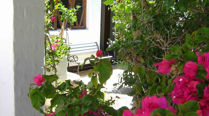 The Alternative Space