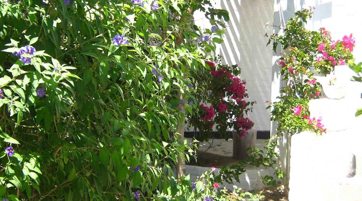 The Alternative Space