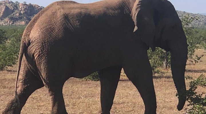 Kruger Castle Guest House