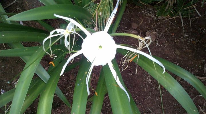 Homestead Lake Guest House