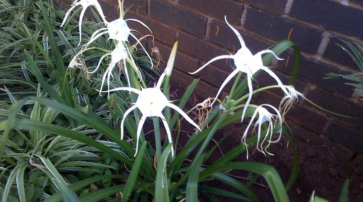 Homestead Lake Guest House