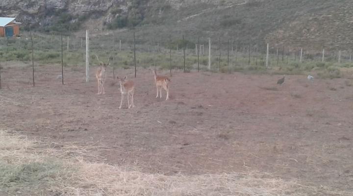 @R62 Langklip Estate