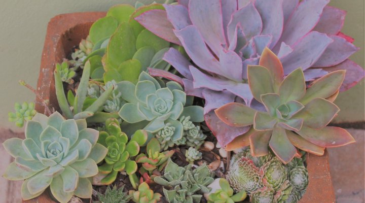 5 Duiker Guest House