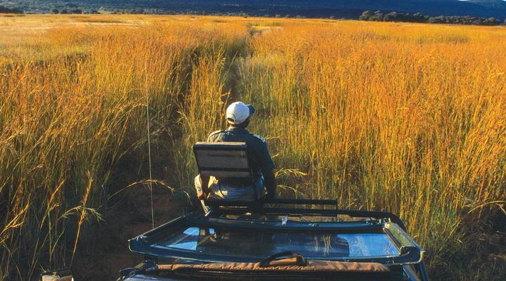 Entabeni Safari Conservancy