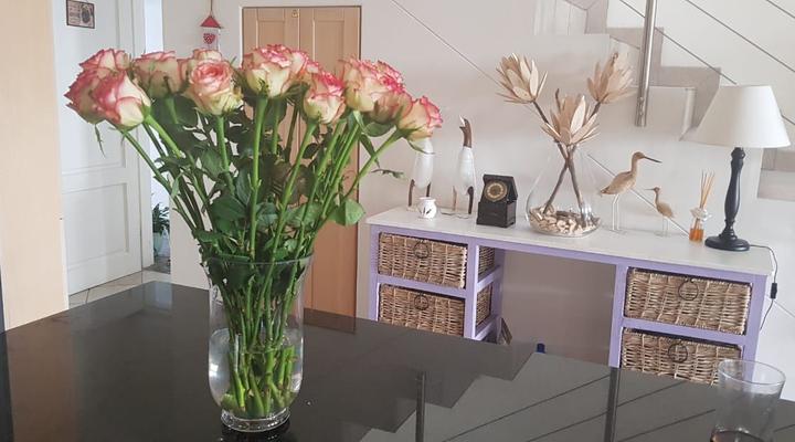 Sprezzaturo Guest House