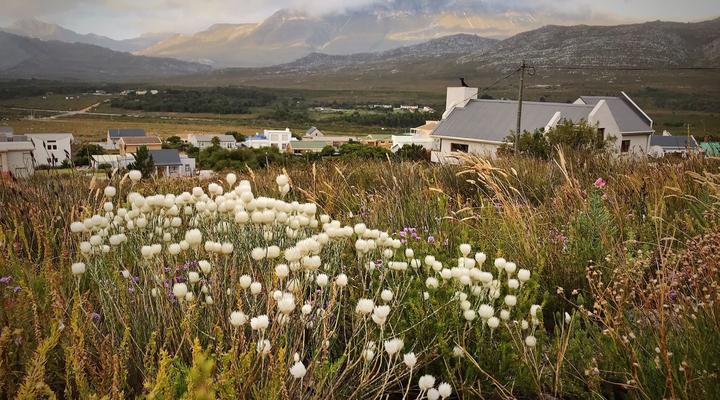 The Fynbos House