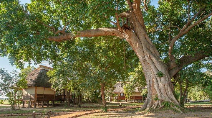 Kafunta River Lodge