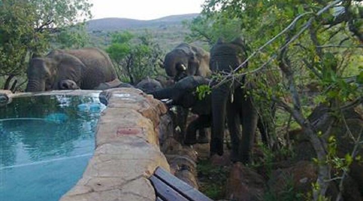 Mabalingwe Kwanyati Lodge