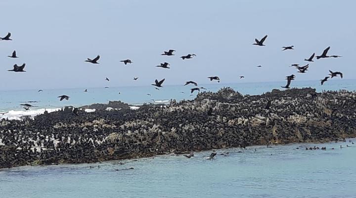 Rots 'n See Self-catering Villa