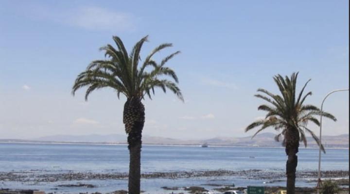 African Beach Studio