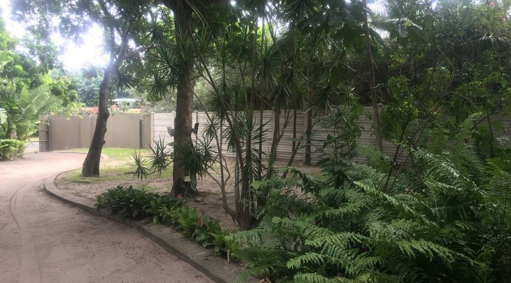 Royal Pelican Self Catering