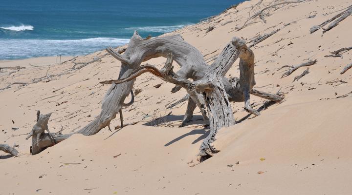 Calanga Phati Eco Camp