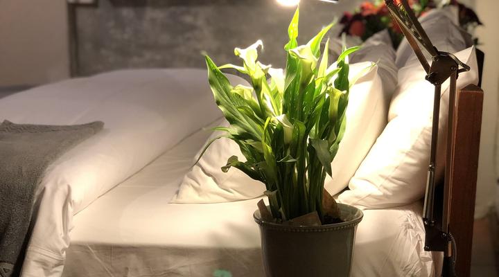 Kloof Bed & Breakfast