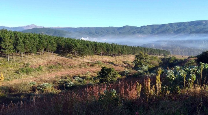 Pristine Valley Sabie