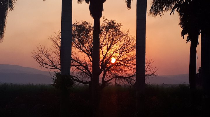 Rosegarden Guesthouse