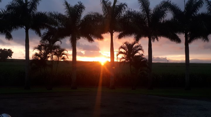 Rosegarden Guesthouse