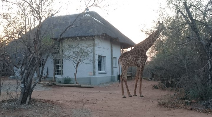 KrugerRiverVillas - HyenaHouse