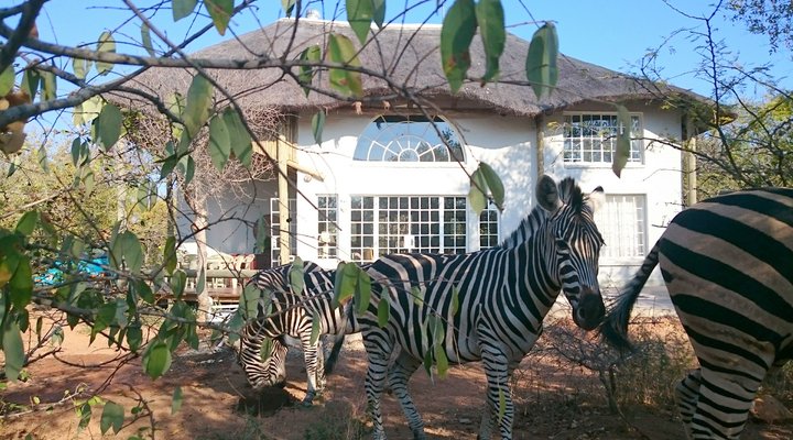 KrugerRiverVillas - HyenaHouse