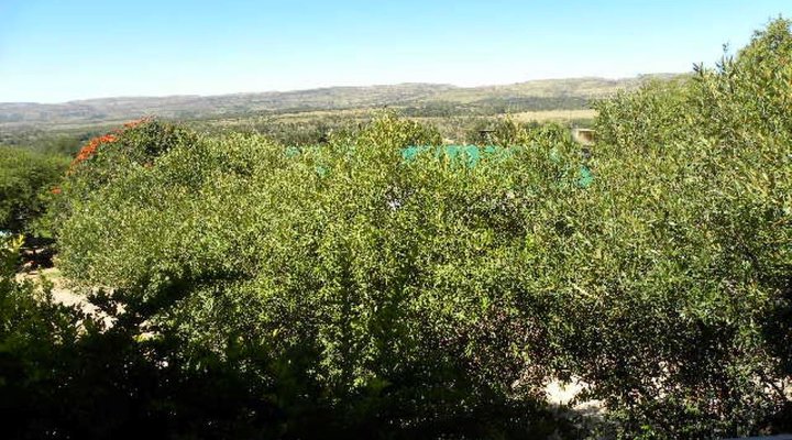 Sugarbush Hill Country Cottages