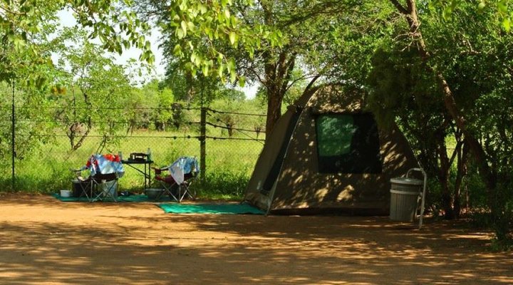 2 Night Safari Package at Shingwedzi Rest Camp Kruger National Park SANParks