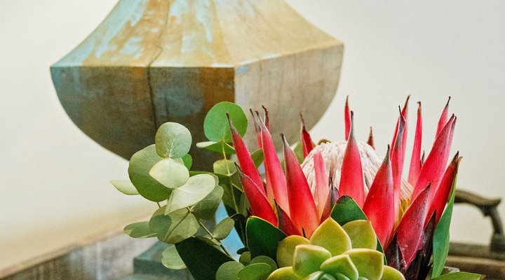 Avemore Mareba Court No 9