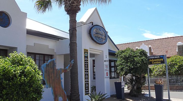 Mossel Bay Backpackers