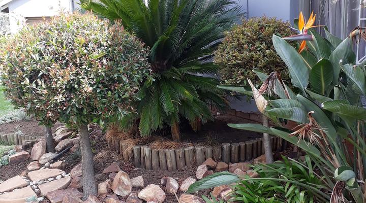 Carnival View Guest House 