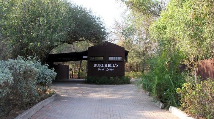 Burchell's Bush Lodge