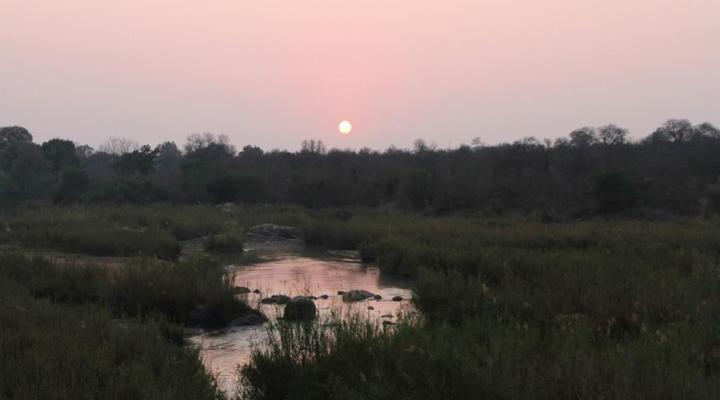 Burchell's Bush Lodge