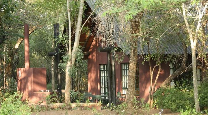 Burchell's Bush Lodge