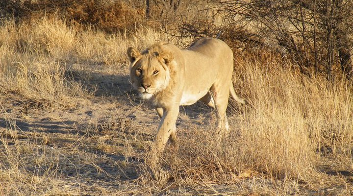 Mthimkhulu Private Game Reserve
