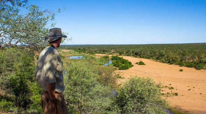 Mthimkhulu Private Game Reserve
