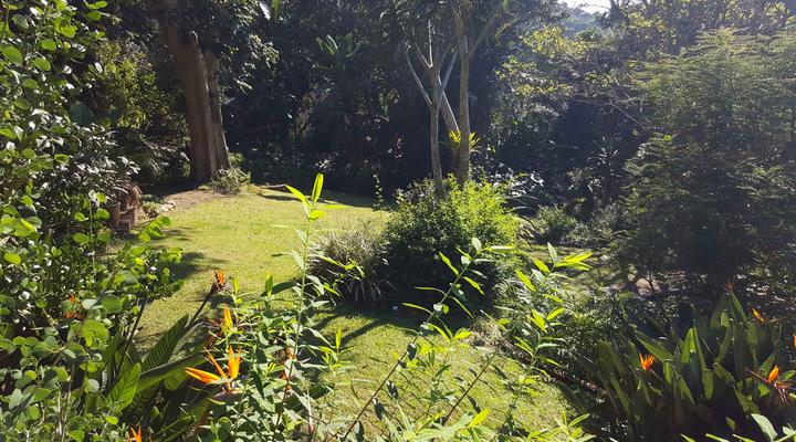 Strelitzia Gardens