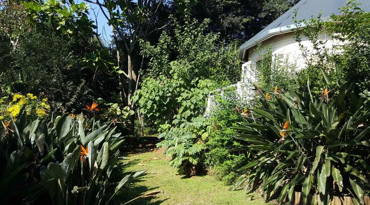 Strelitzia Gardens