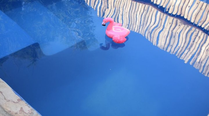 Bliss Wildlife Escape