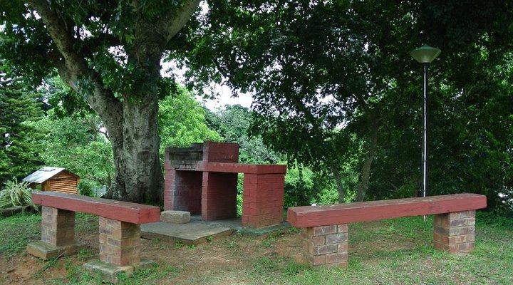 11 The Bridge