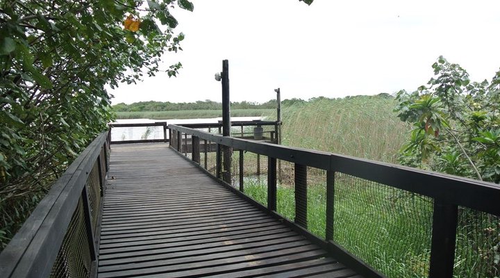 11 The Bridge