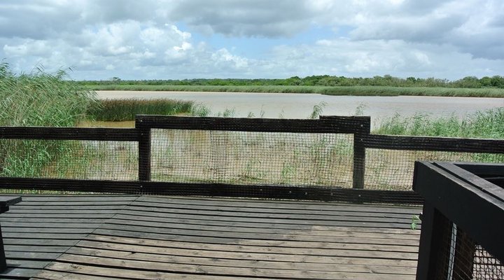 11 The Bridge