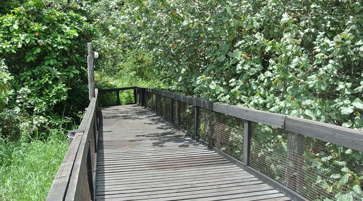 11 The Bridge