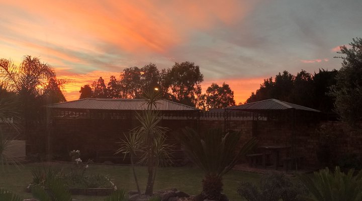 African Elephant's Den