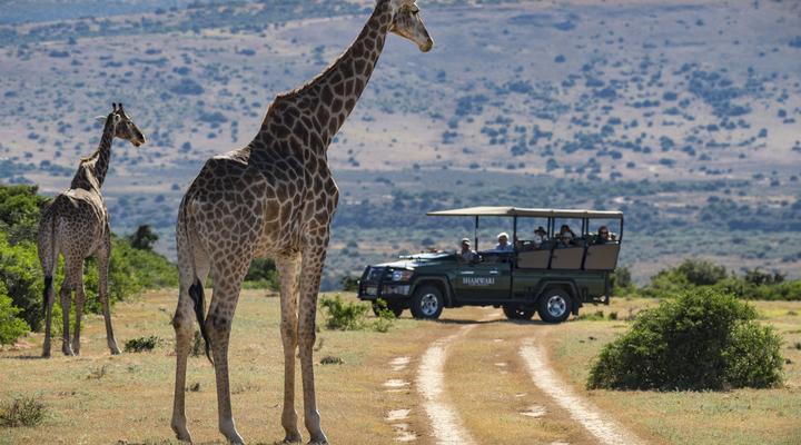 Shamwari Long Lee Manor