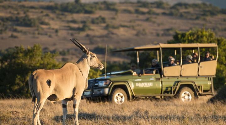 Shamwari Eagles Crag